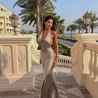 Seraphina Viscose Gown Silver